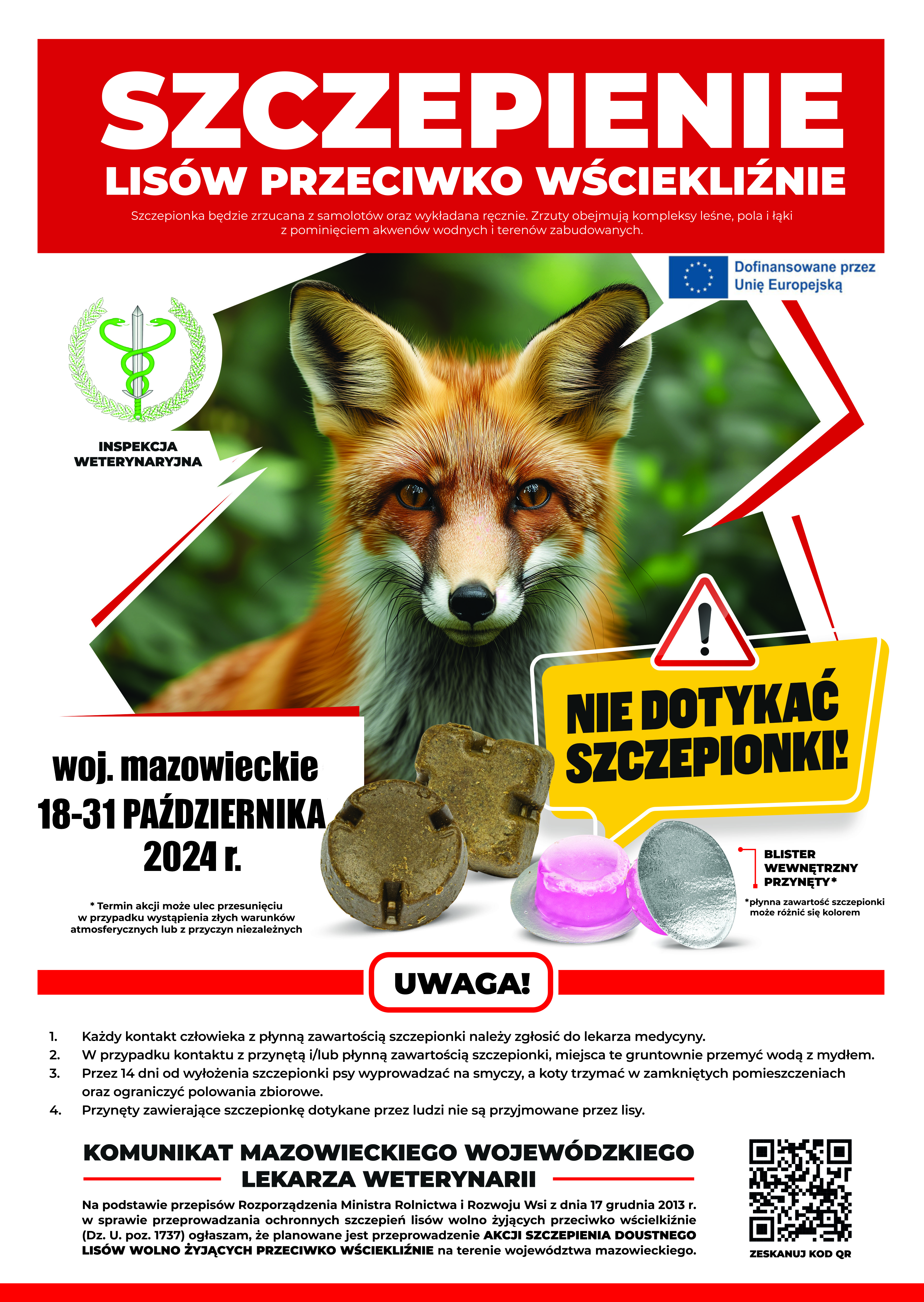 Szczepienie lisów przeciwko wściekliźnie